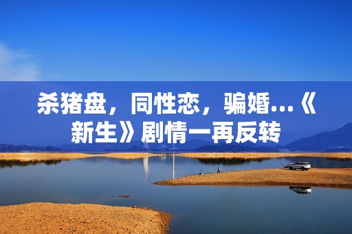 杀猪盘，同性恋，骗婚…《新生》剧情一再反转