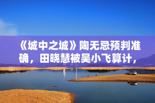 《城中之城》陶无忌预判准确，田晓慧被吴小飞算计，沈婧袖手旁观