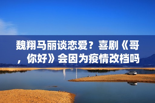 魏翔马丽谈恋爱？喜剧《哥，你好》会因为疫情改档吗？投资有风险吗？(魏翔女友)