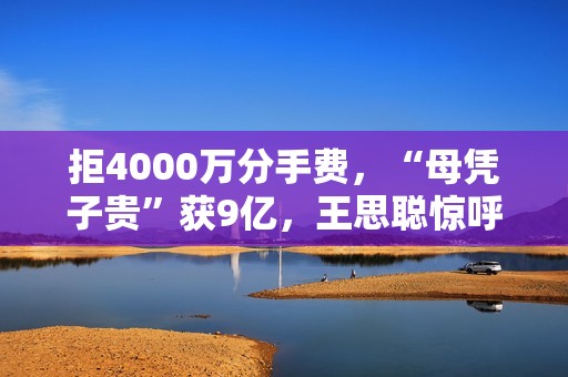 拒4000万分手费，“母凭子贵”获9亿，王思聪惊呼她才是高端玩家