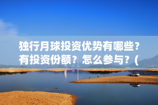 独行月球投资优势有哪些？有投资份额？怎么参与？(独行月球什么时候上映)
