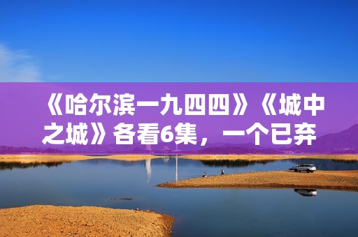 《哈尔滨一九四四》《城中之城》各看6集，一个已弃剧，一个追到