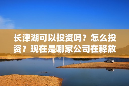 长津湖可以投资吗？怎么投资？现在是哪家公司在释放份额？(长津湖投资多少钱)