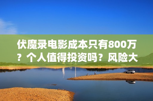 伏魔录电影成本只有800万？个人值得投资吗？风险大吗？(伏魔录 豆瓣)