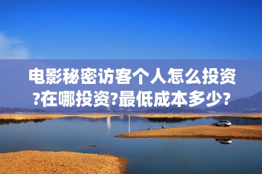 电影秘密访客个人怎么投资?在哪投资?最低成本多少?(秘密访客电影细节)