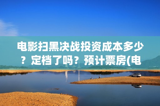 电影扫黑决战投资成本多少？定档了吗？预计票房(电影扫黑决战总投资)