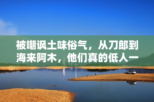 被嘲讽土味俗气，从刀郎到海来阿木，他们真的低人一等吗？