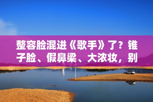 整容脸混进《歌手》了？锥子脸、假鼻梁、大浓妆，别辣观众眼睛了