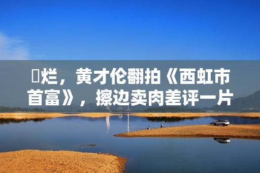 ​烂，黄才伦翻拍《西虹市首富》，擦边卖肉差评一片，票房仅6万