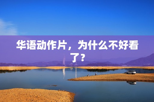 华语动作片，为什么不好看了？
