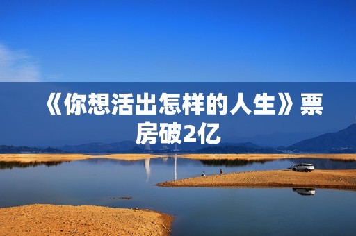 《你想活出怎样的人生》票房破2亿