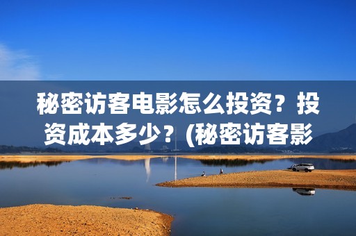 秘密访客电影怎么投资？投资成本多少？(秘密访客影片解析)