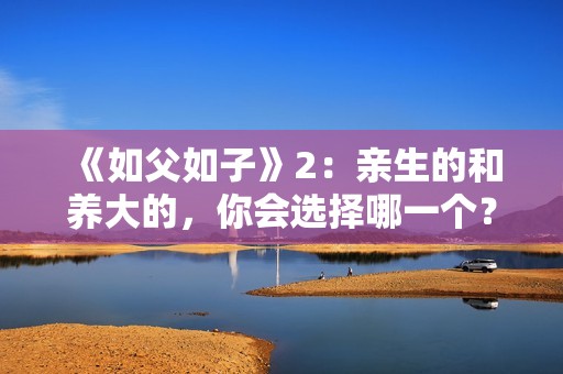 《如父如子》2：亲生的和养大的，你会选择哪一个？