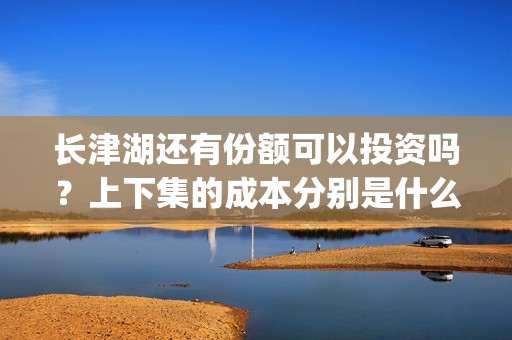 长津湖还有份额可以投资吗？上下集的成本分别是什么？怎么投资？(长津湖有望)