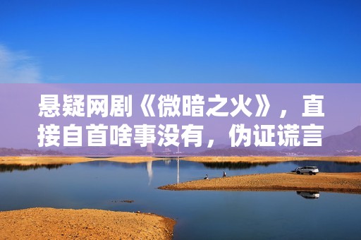 悬疑网剧《微暗之火》，直接自首啥事没有，伪证谎言害人害己