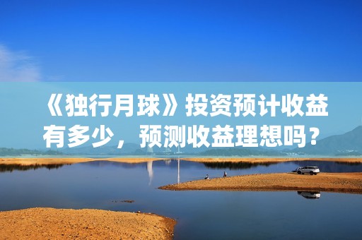 《独行月球》投资预计收益有多少，预测收益理想吗？(独行月球投资)