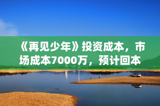 《再见少年》投资成本，市场成本7000万，预计回本多少？(电影再见少年投资)