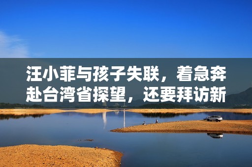 汪小菲与孩子失联，着急奔赴台湾省探望，还要拜访新丈母娘