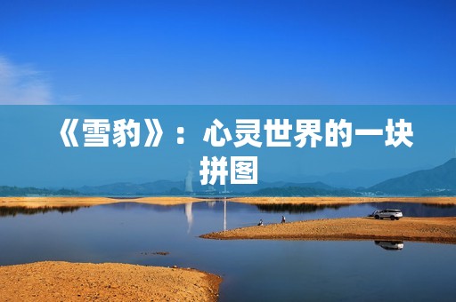 《雪豹》：心灵世界的一块拼图