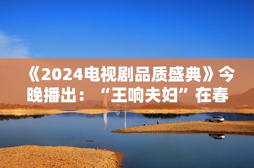 《2024电视剧品质盛典》今晚播出：“王响夫妇”在春天“团圆”，《繁花》亮眼摘多项硕果