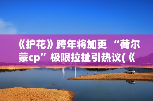 《护花》跨年将加更 “荷尔蒙cp”极限拉扯引热议(《护花使者》演唱视频)