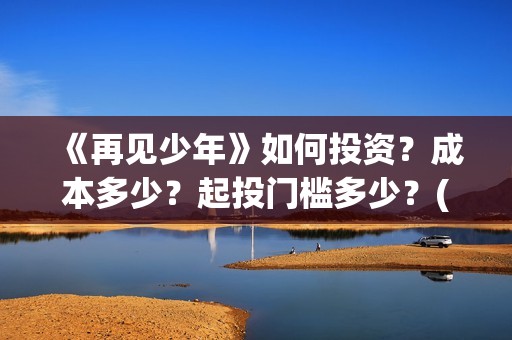 《再见少年》如何投资？成本多少？起投门槛多少？(再见少年mv)