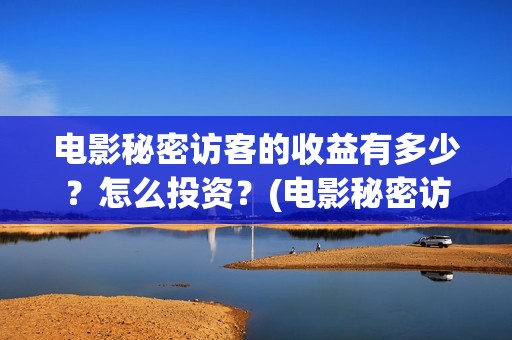 电影秘密访客的收益有多少？怎么投资？(电影秘密访客的内容)