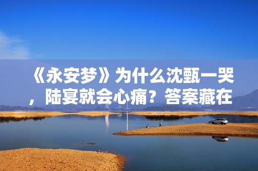 《永安梦》为什么沈甄一哭，陆宴就会心痛？答案藏在上一世