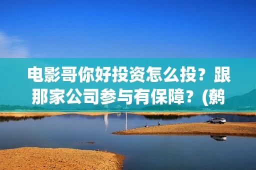 电影哥你好投资怎么投？跟那家公司参与有保障？(鹩哥你好录音教材)