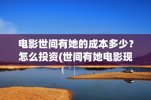 电影世间有她的成本多少？怎么投资(世间有她电影现在什么情况)