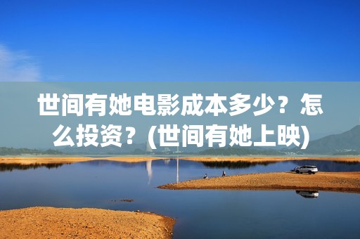 世间有她电影成本多少？怎么投资？(世间有她上映)