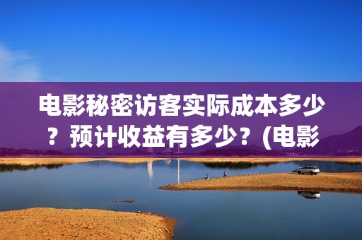 电影秘密访客实际成本多少？预计收益有多少？(电影秘密访客的真相)