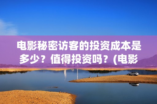 电影秘密访客的投资成本是多少？值得投资吗？(电影 秘密访客)
