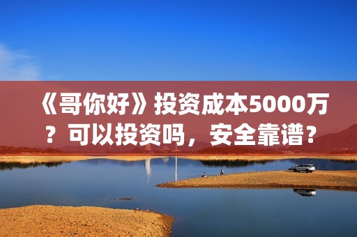 《哥你好》投资成本5000万？可以投资吗，安全靠谱？(《哥你好》投资多少钱)