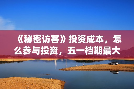 《秘密访客》投资成本，怎么参与投资，五一档期最大黑马？(秘密访客演了个啥)