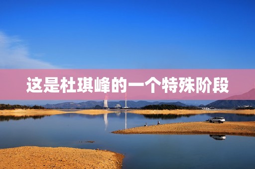 这是杜琪峰的一个特殊阶段