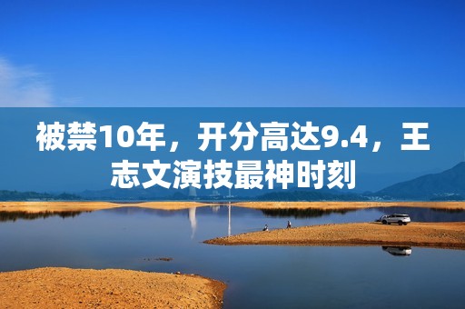 被禁10年，开分高达9.4，王志文演技最神时刻