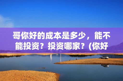 哥你好的成本是多少，能不能投资？投资哪家？(你好哥哥语音)