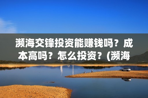 濒海交锋投资能赚钱吗？成本高吗？怎么投资？(濒海交锋电影投资可靠吗)