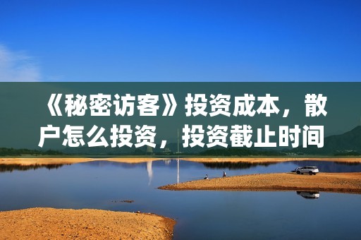 《秘密访客》投资成本，散户怎么投资，投资截止时间？(秘密访客2021上映)