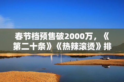 春节档预售破2000万，《第二十条》《热辣滚烫》排名前二