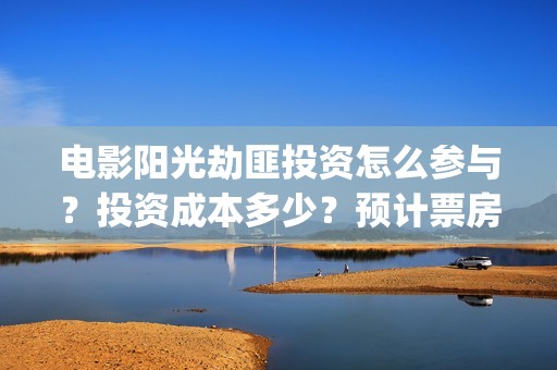 电影阳光劫匪投资怎么参与？投资成本多少？预计票房(阳光劫匪片花)