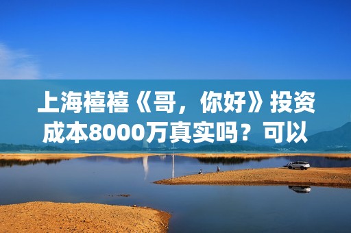 上海禧禧《哥，你好》投资成本8000万真实吗？可以投资？(禧哥是做什么行业的)