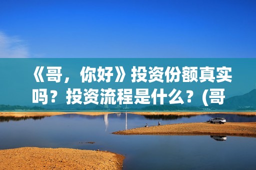 《哥，你好》投资份额真实吗？投资流程是什么？(哥哥hi你好)