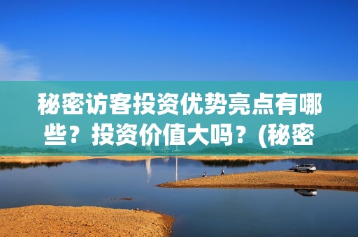 秘密访客投资优势亮点有哪些？投资价值大吗？(秘密访客 投资方)