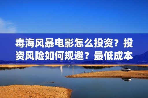 毒海风暴电影怎么投资？投资风险如何规避？最低成本多少？(毒海风暴上映时间)