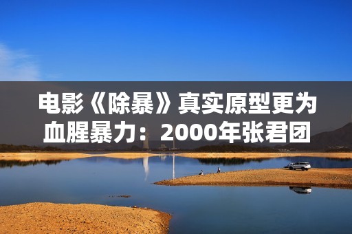 电影《除暴》真实原型更为血腥暴力：2000年张君团伙抢劫案第四集