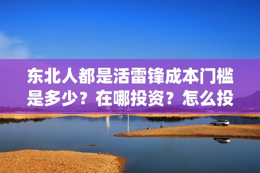 东北人都是活雷锋成本门槛是多少？在哪投资？怎么投资？(东北人都是活雷锋电视剧)