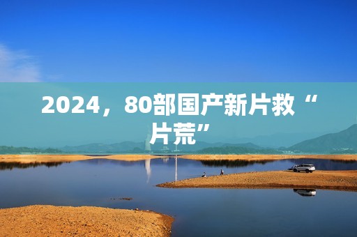 2024，80部国产新片救“片荒”