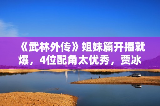 《武林外传》姐妹篇开播就爆，4位配角太优秀，贾冰也被抢了风头